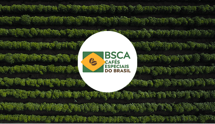 Imagem 19