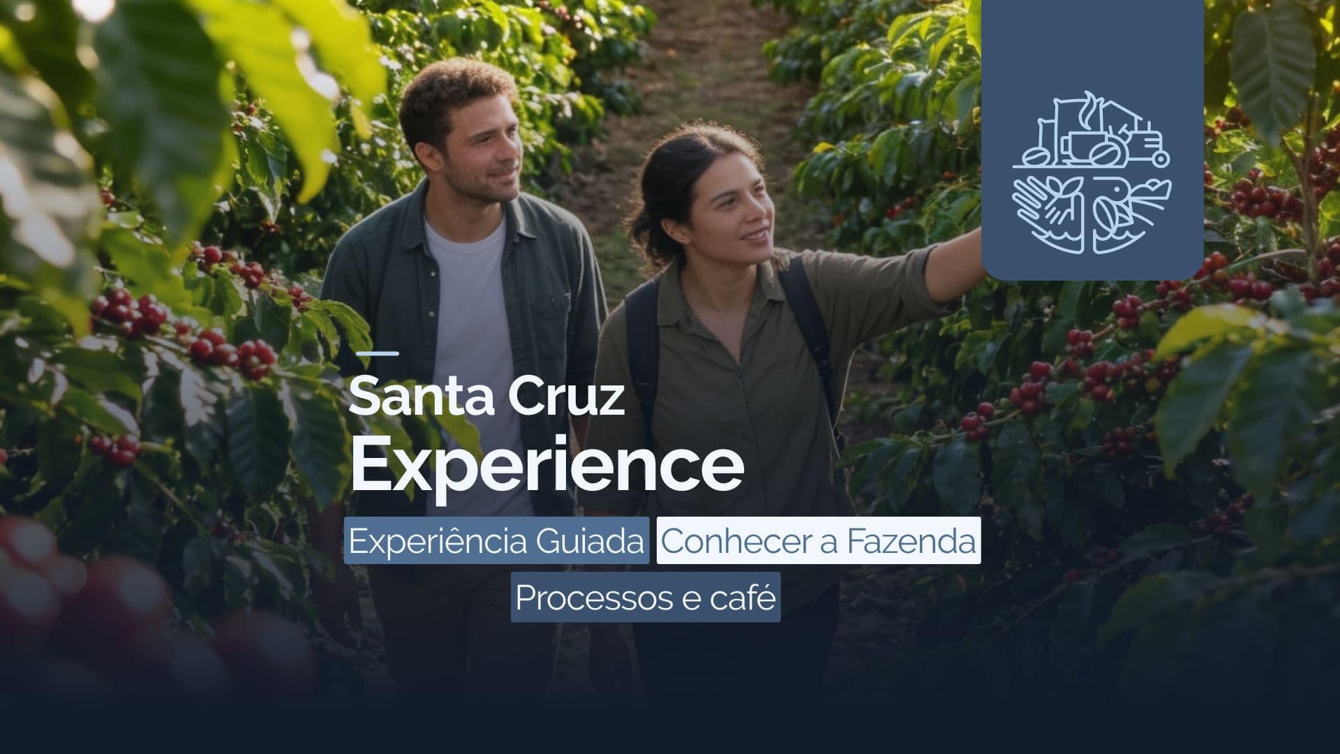 Santa Cruz Experience