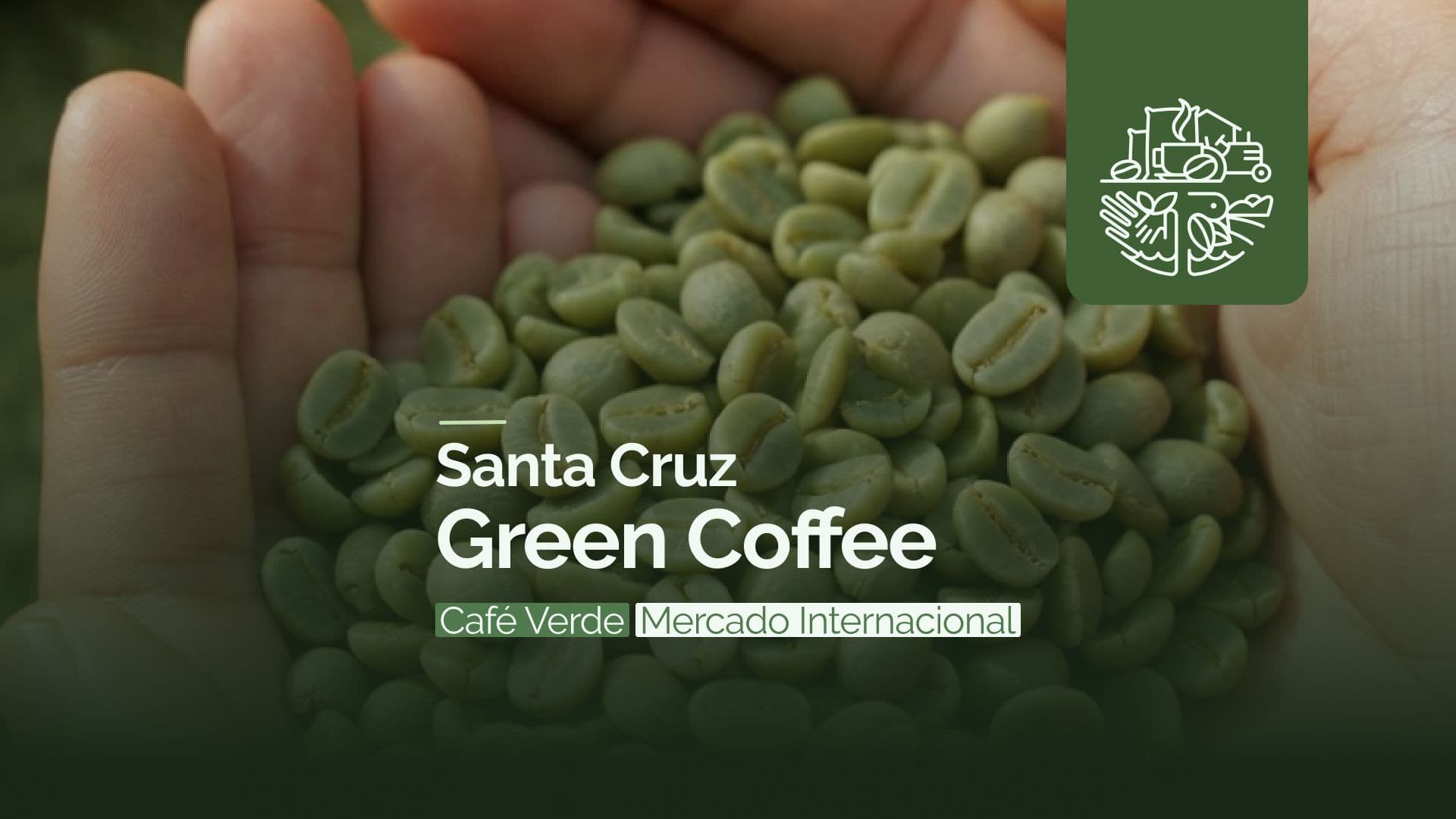 Santa Cruz Green Coffee